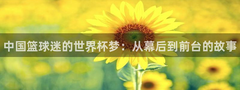 世界杯葡萄牙赛程：中国篮球迷的世界杯梦：从幕后到前台的故事