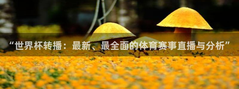女足世界杯直播在线观看免费高清：“世界杯转播：最新、最全面的体育赛事直播与分析”