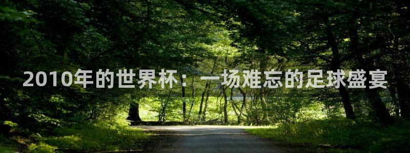 世界杯决赛直播：2010年的世界杯：一场难忘的足球盛宴