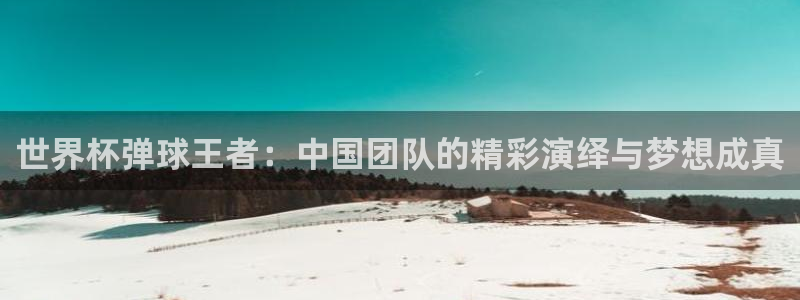 中国 世界杯：世界杯弹球王者：中国团队的精彩演绎与梦想成真