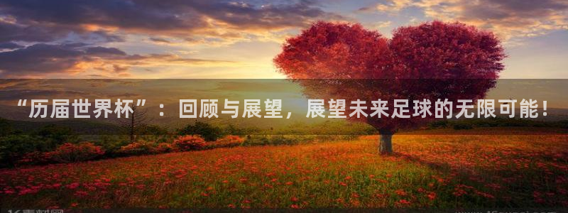 世预赛欧洲赛程表：“历届世界杯”：回顾与展望，展望未来足球的无限可能！