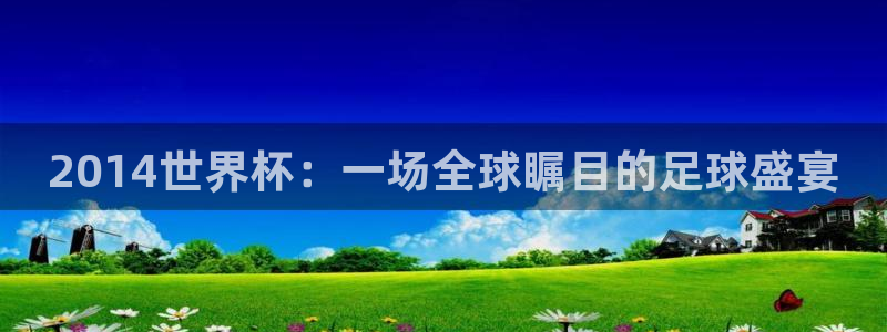 2006年世界杯冠军：2014世界杯：一场全球瞩目的足球盛宴