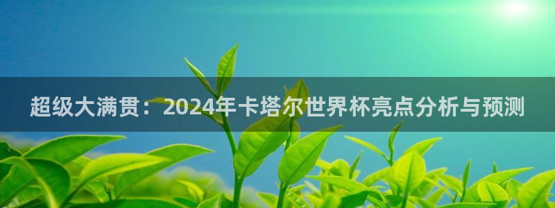 2026男足世界杯：超级大满贯：2024年卡塔尔世界杯亮点分析与预测