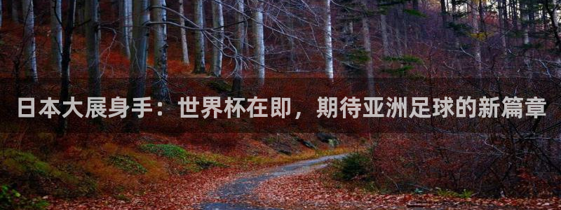 2026世界杯亚洲预选赛:日本大展身手:世界杯在即,期待亚洲足球的新篇章