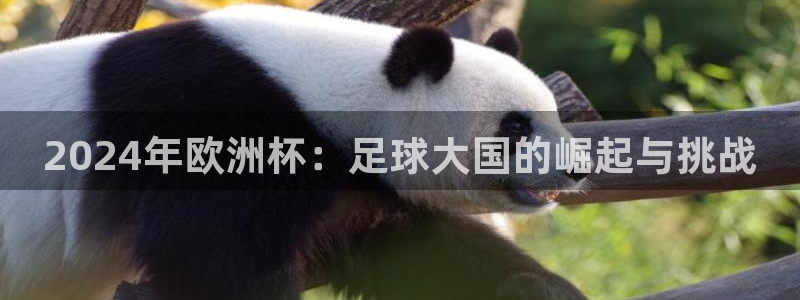 世界杯2026赛程时间表格：2024年欧洲杯：足球大国的崛起与挑战